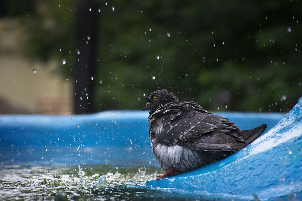 Photograph by Сергей Алексеевич