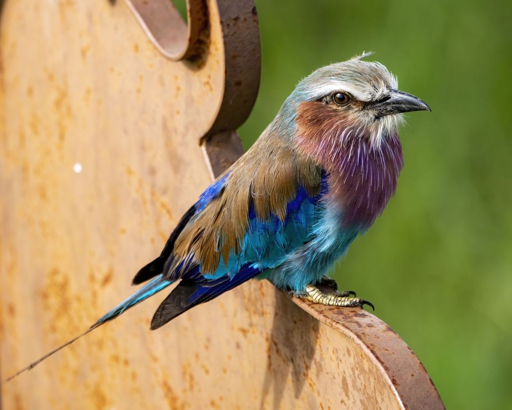 Photograph by Пупонин Сергей