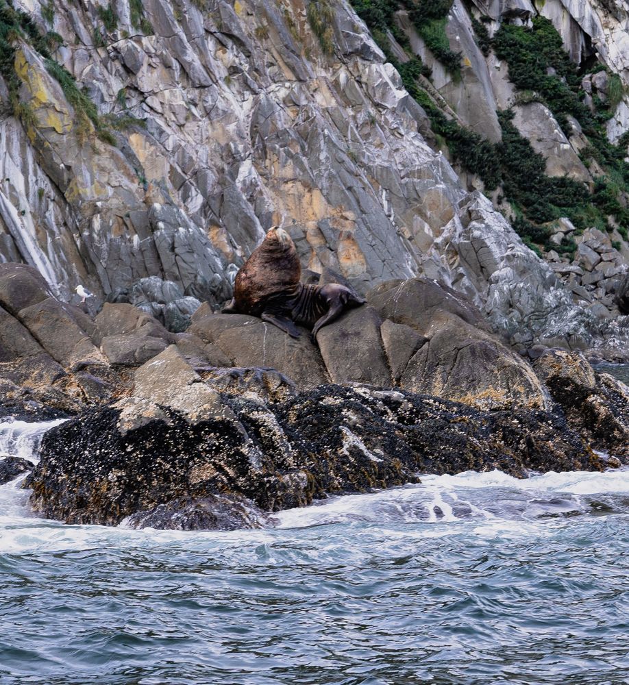 Фотография автора Ирина Голомазова
