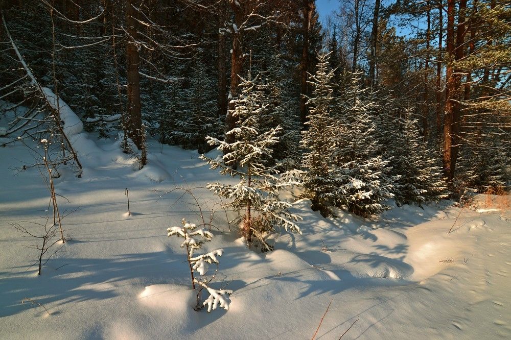 Photograph by Olga Mishenina