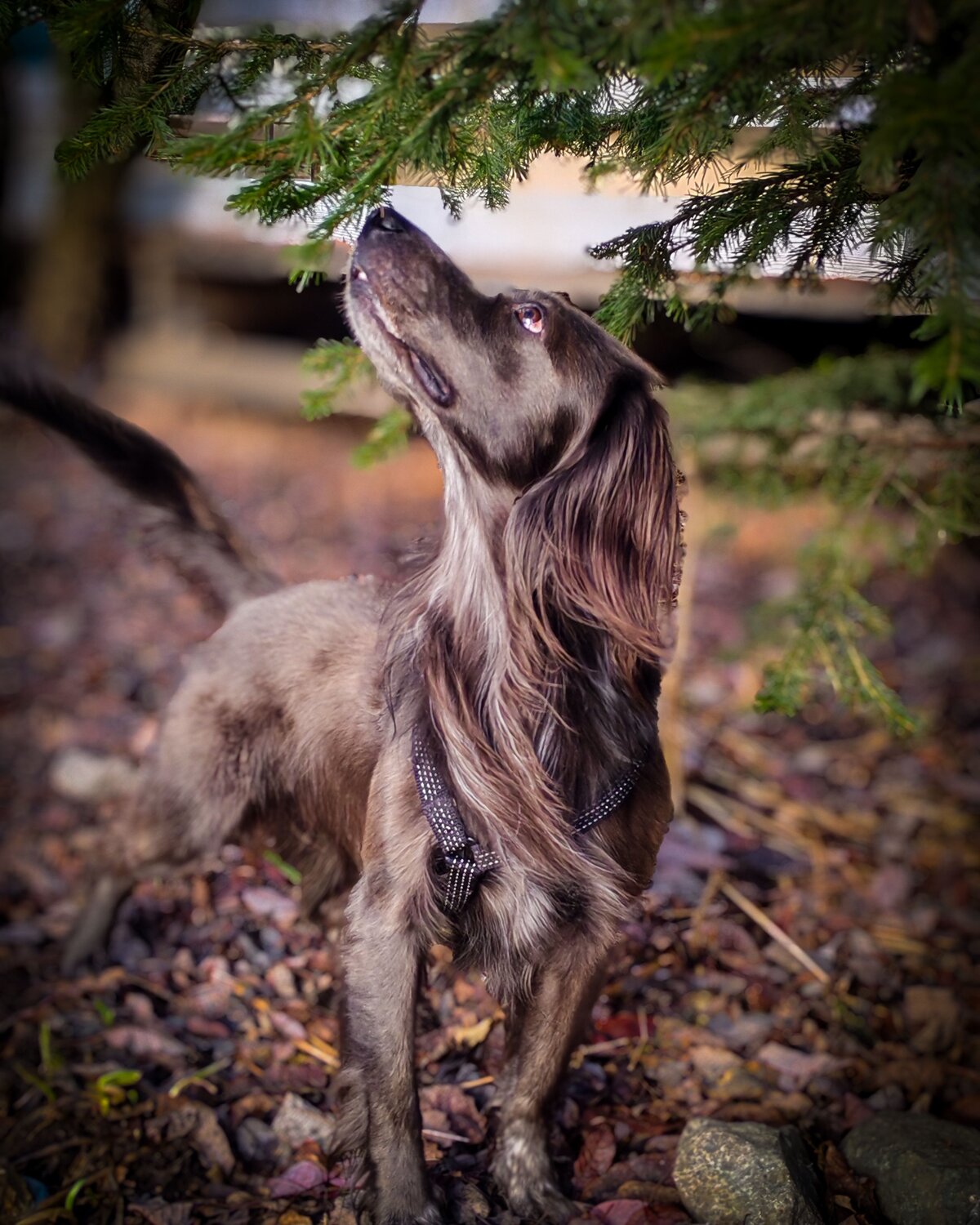 Photo #11765987