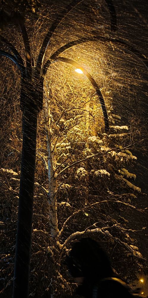 Photograph by ТАТЬЯНА ПАНОВА