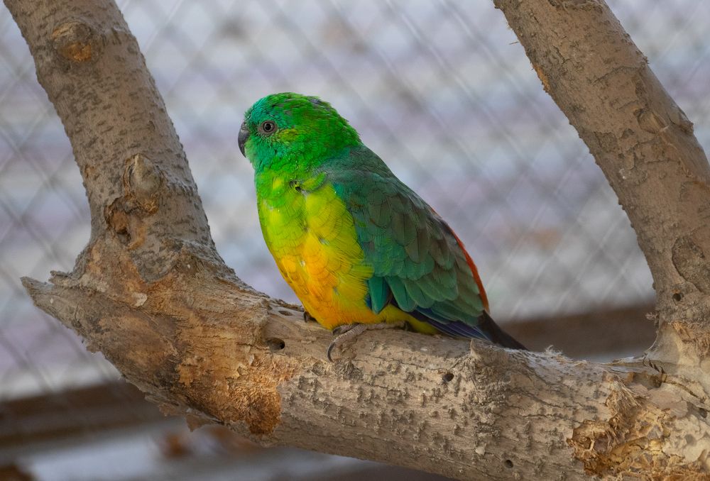 Photograph by Сергей Хранитель