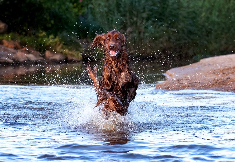 Фотография автора Ольга Фомичева
