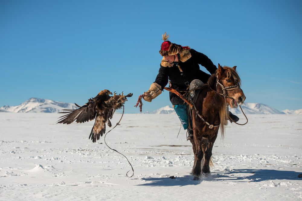Mongolian Kazakh hunting man