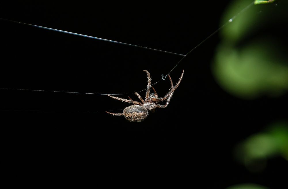Фотография автора Рамиль Фаттахов