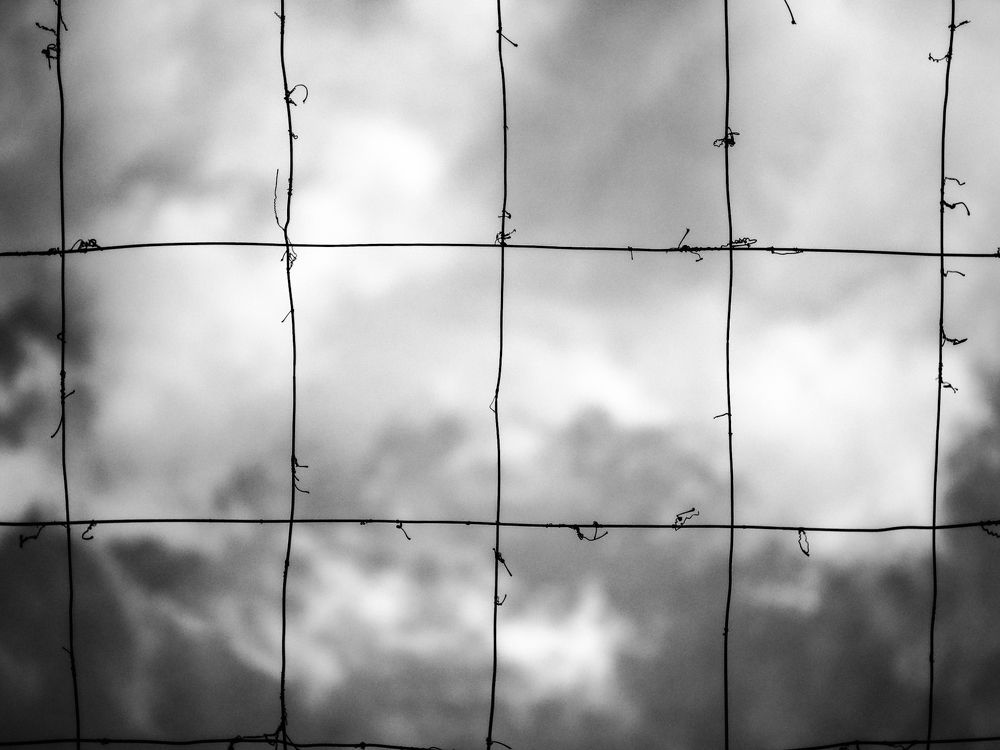 Photograph by Huy Nguyen