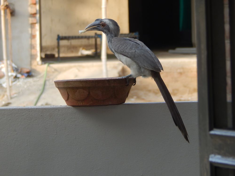 Photograph by Charmi Patel