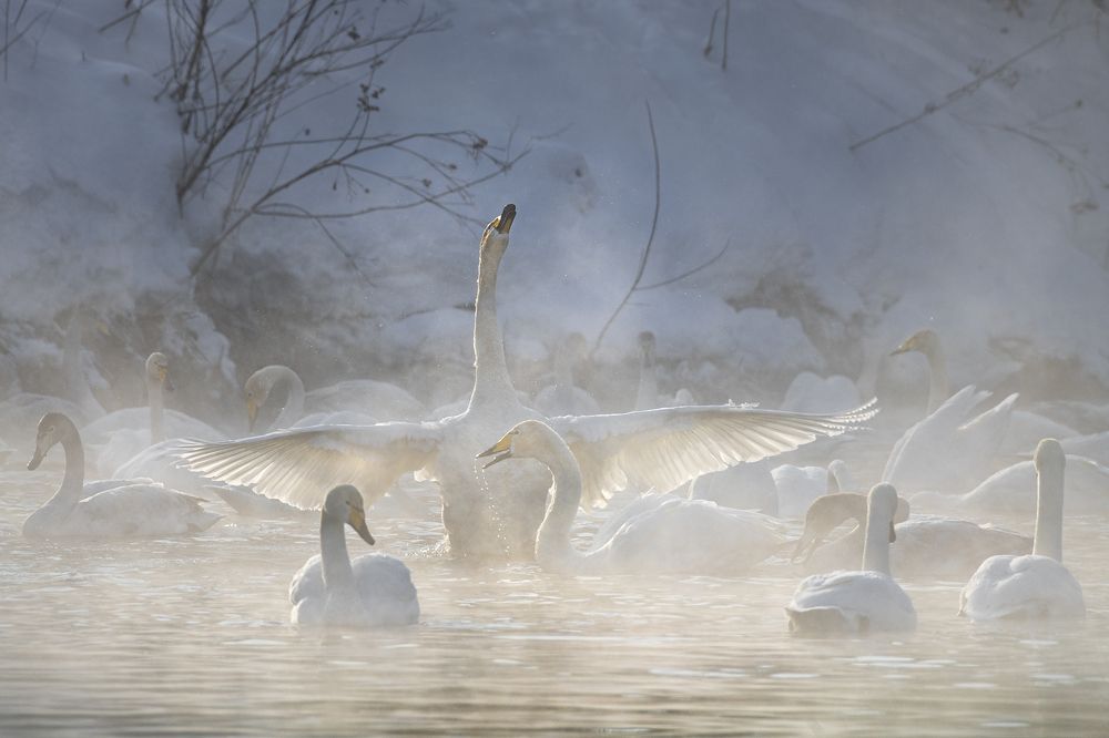 Photograph by Евгений Санин