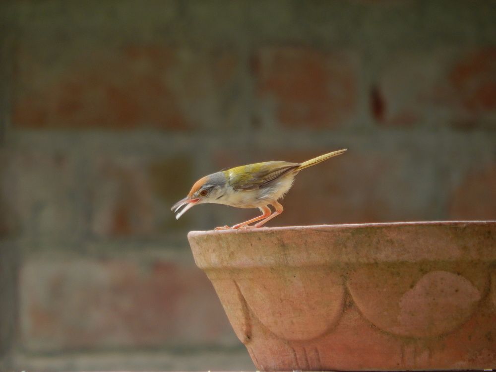 Photograph by Charmi Patel