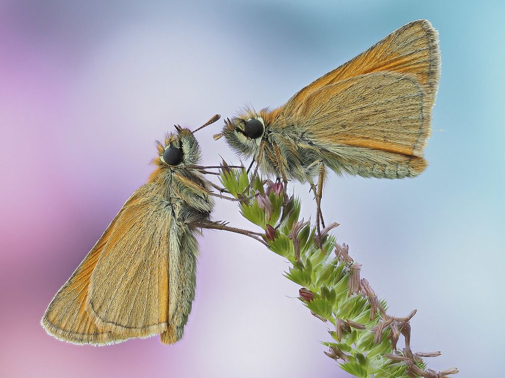 Photograph by Лукашук Евгений