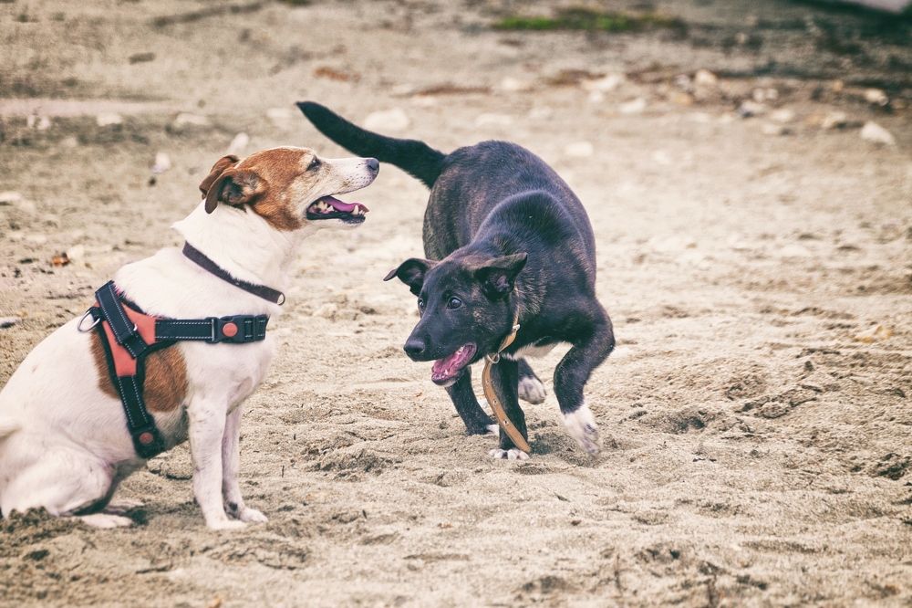 Photograph by Ольга Мальцева