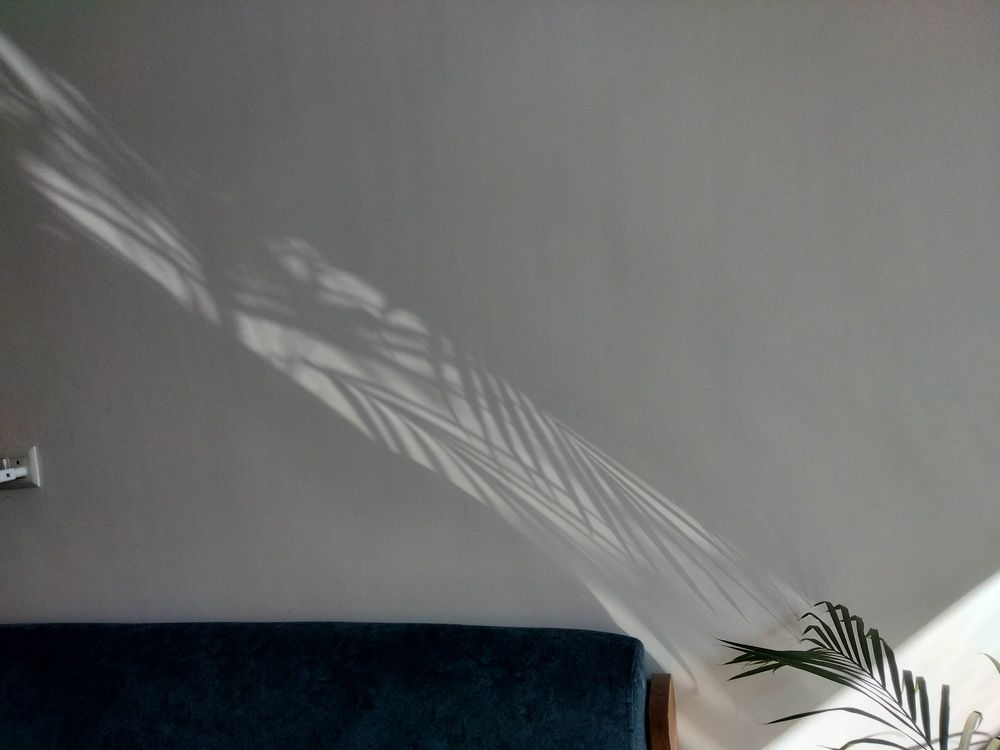 Photograph by Charmi Patel
