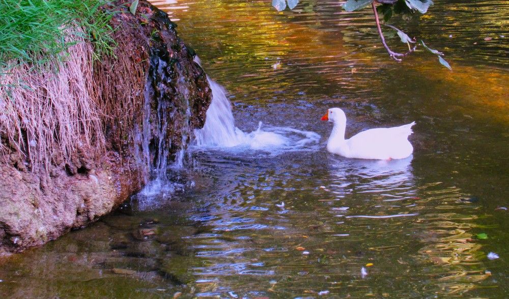 Photograph by Leonid Yarmolinsky