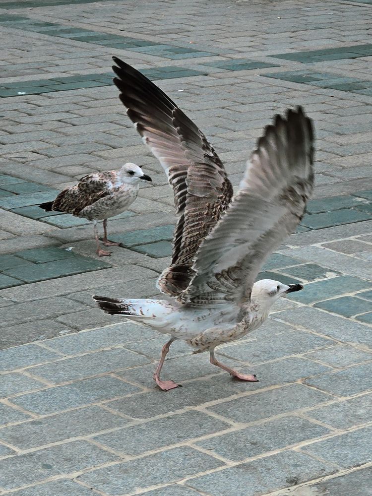 Photograph by Ольга Дёмина