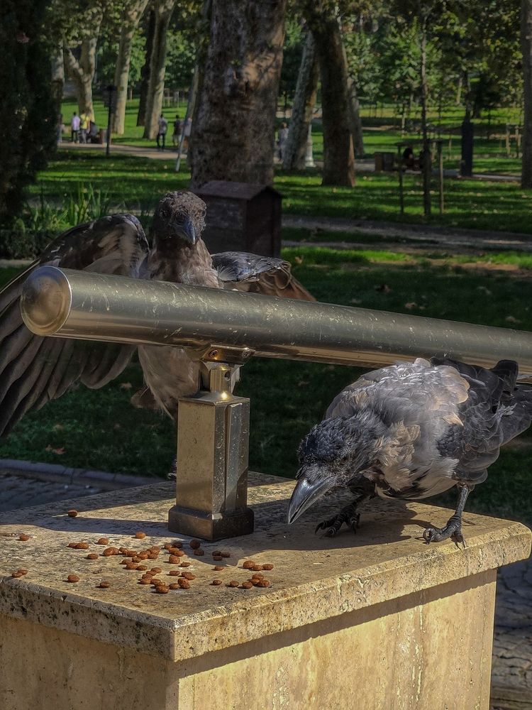 Photograph by Ольга Дёмина