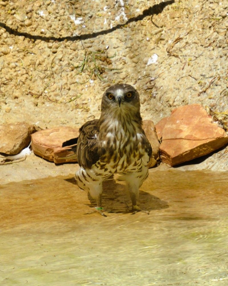 Photograph by Leonid Yarmolinsky