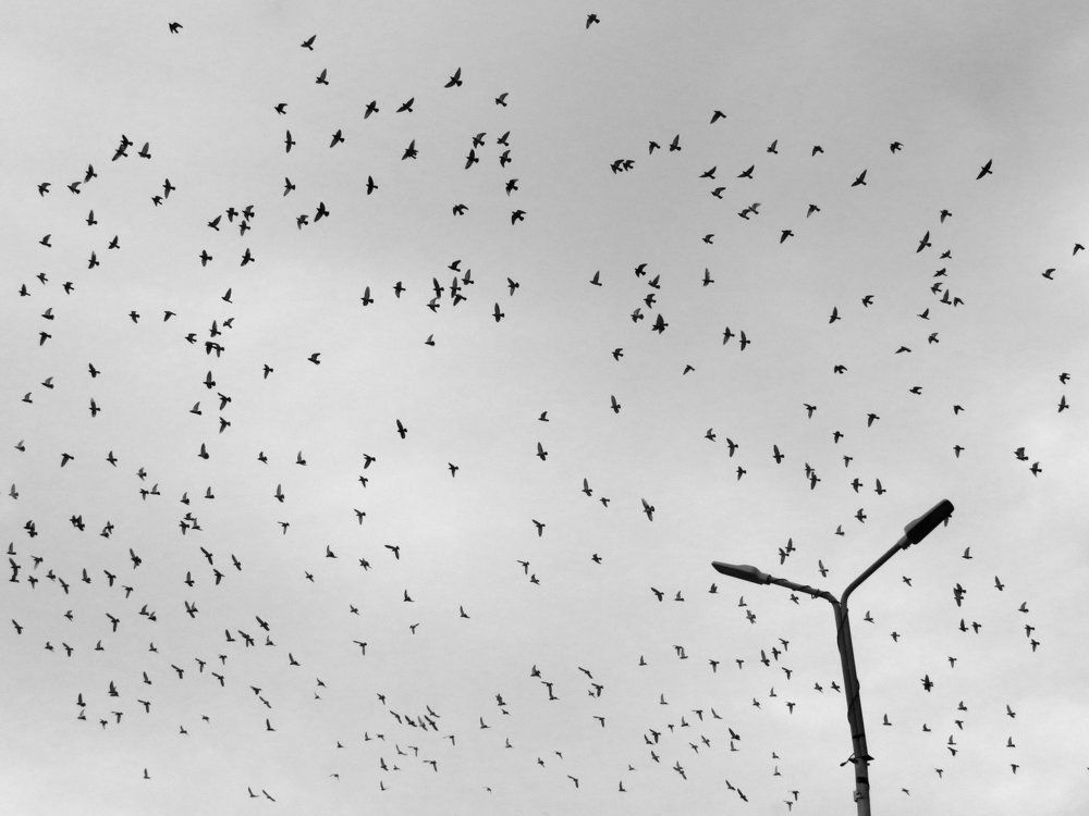 Photograph by Mila Nikolova