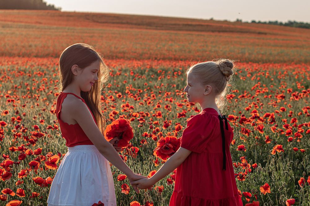 Фотография автора Светлана Дроголюбова