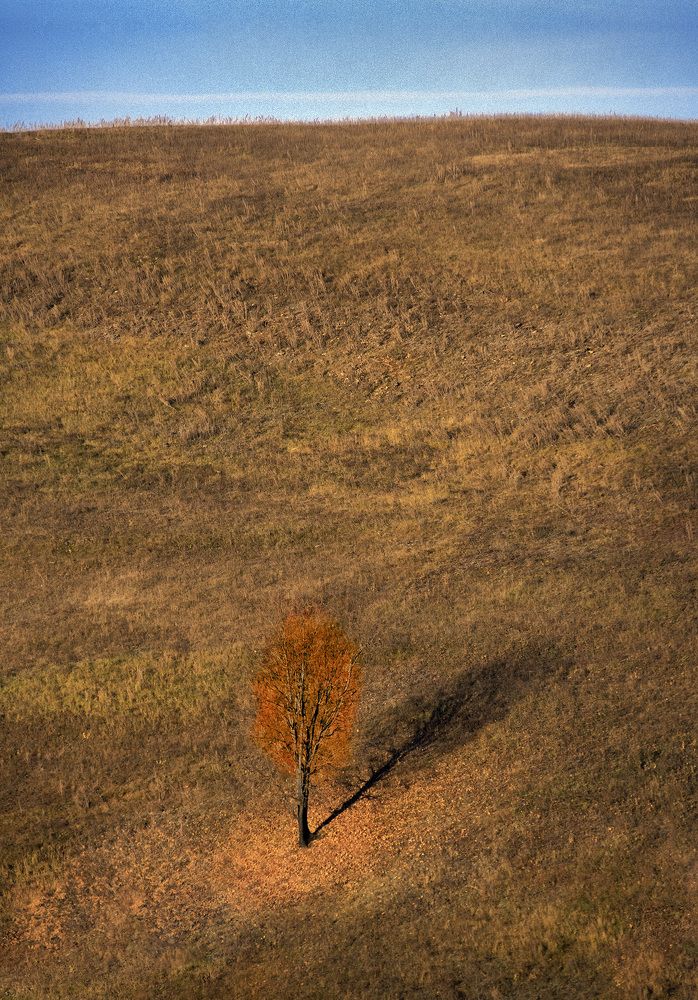 Photograph by Александр АГ