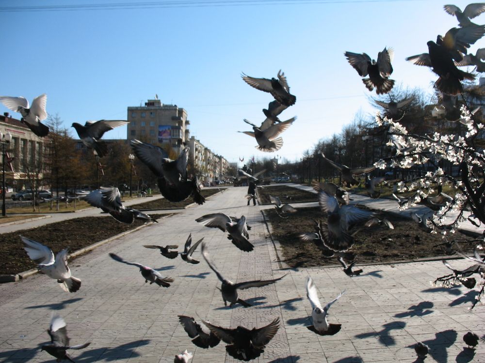 Photograph by Евгений Захаров