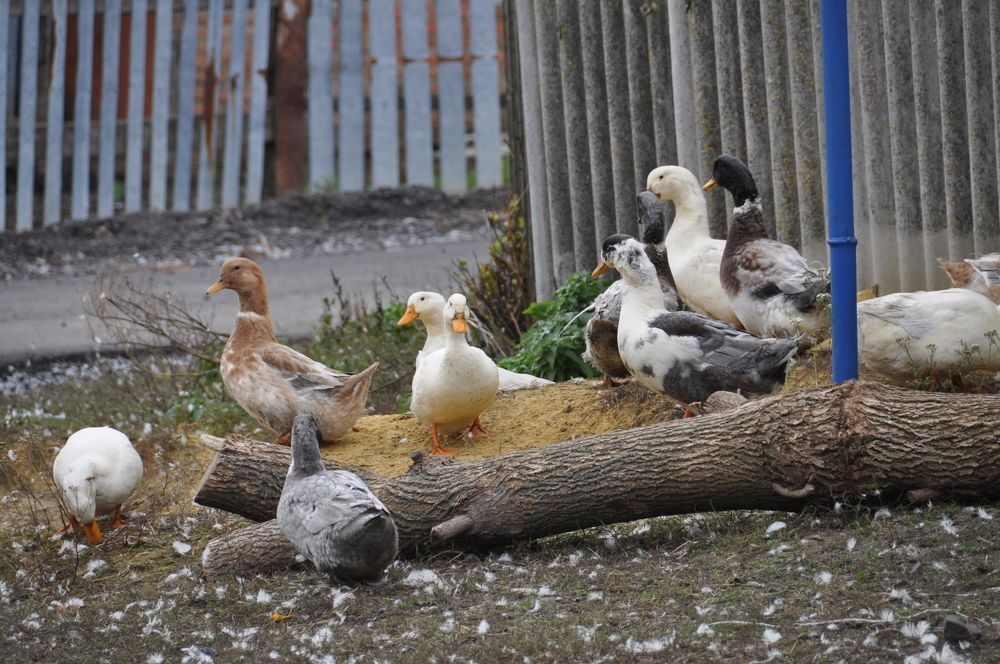 Photograph by Евгений Захаров