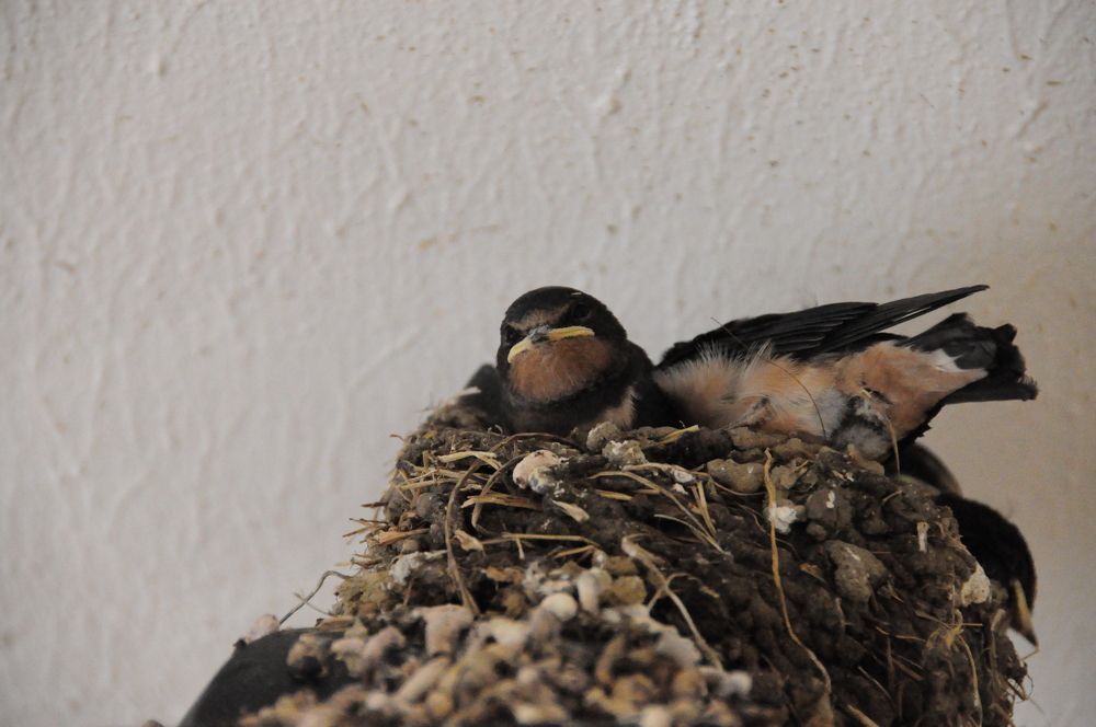 Photograph by Евгений Захаров