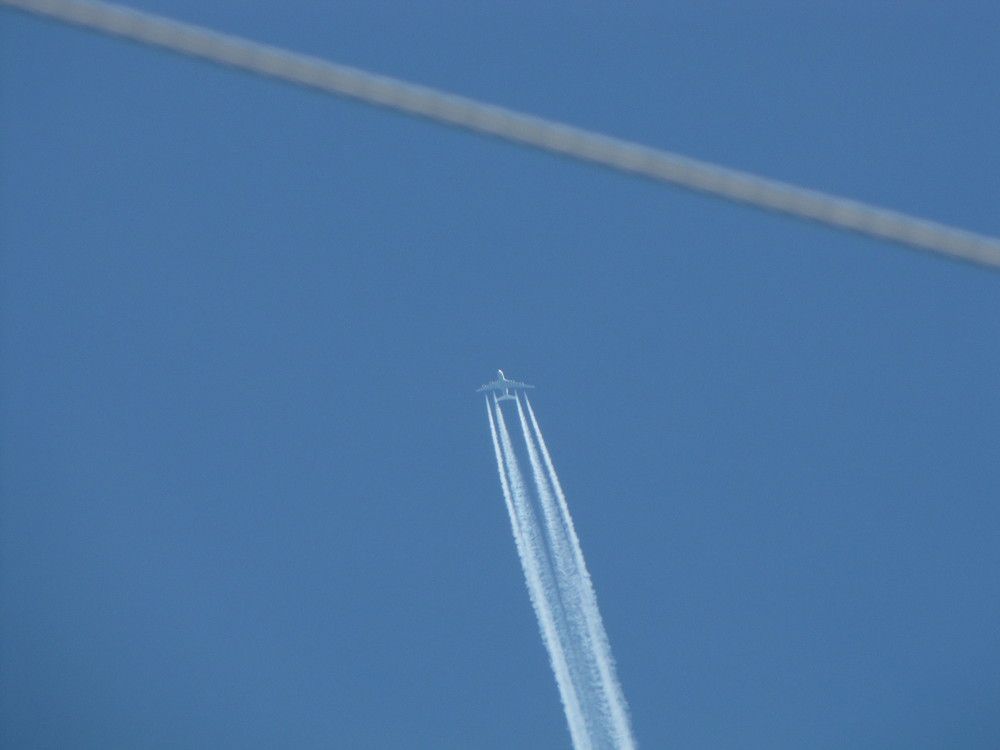 Фотография автора Кузьмичева Екатерина Васильевна