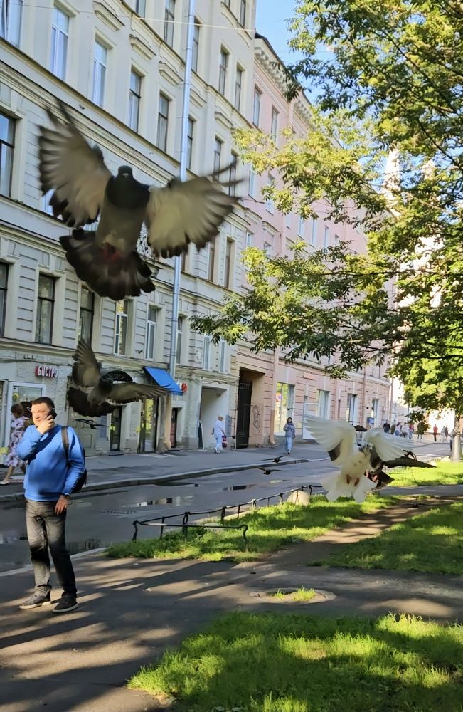 Photograph by Наталья Анисимова