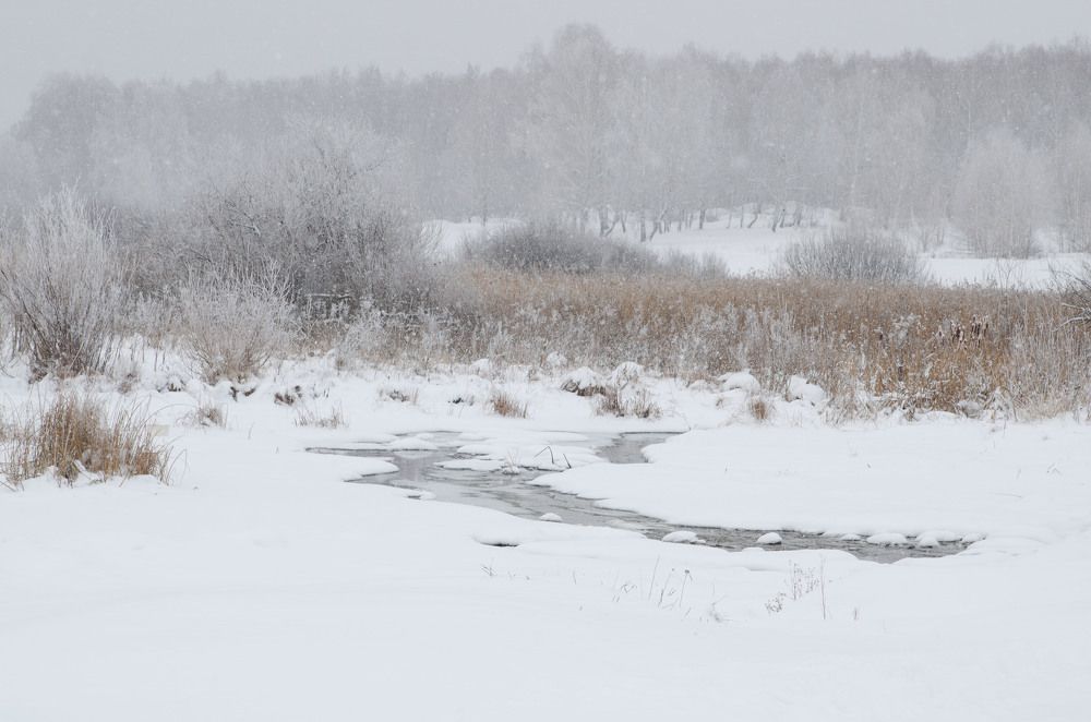 Photograph by Татьяна Валерьевна