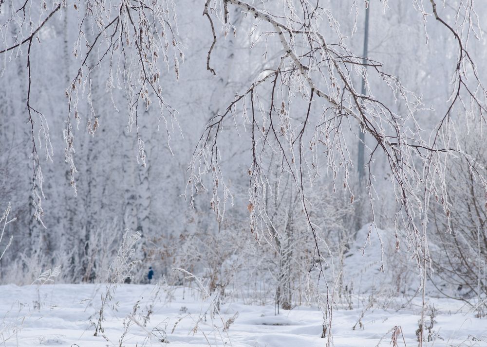Photograph by Татьяна Валерьевна