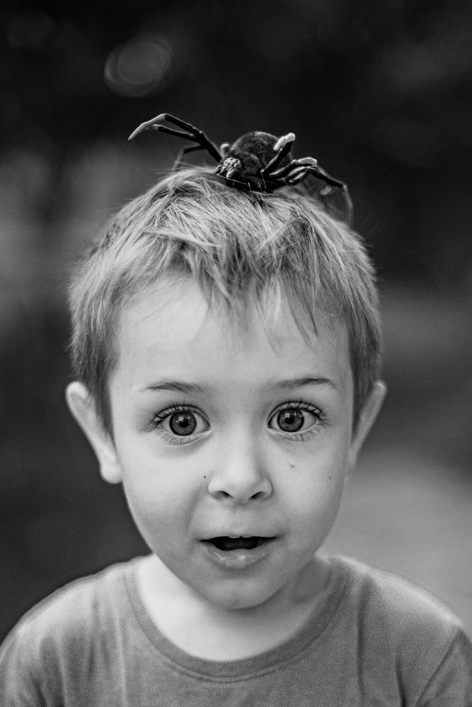 Фотография автора Дарья Шевченко