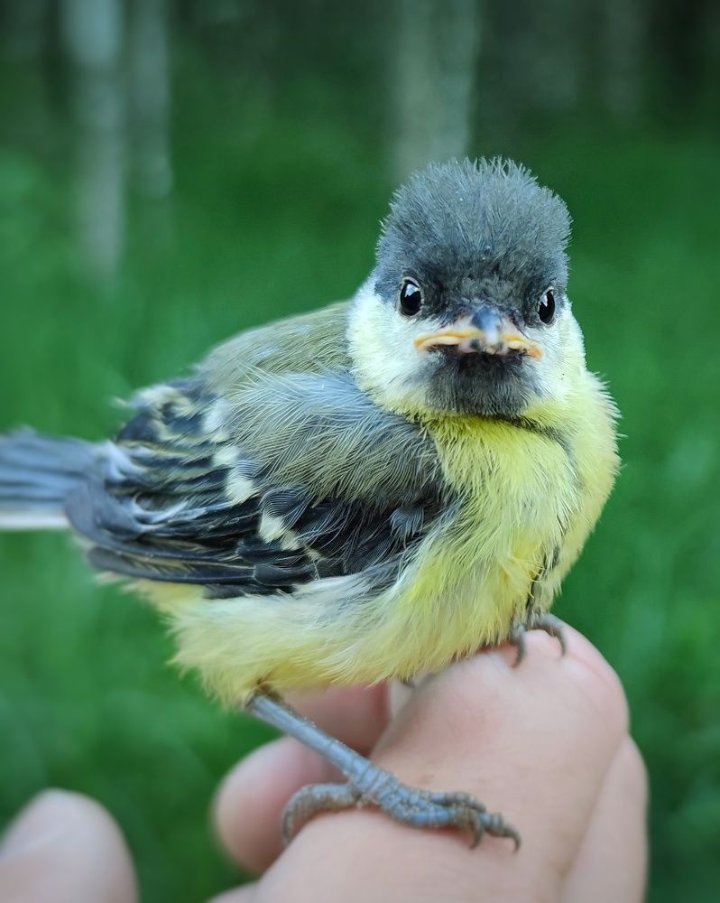 Photograph by Петр Поспелов