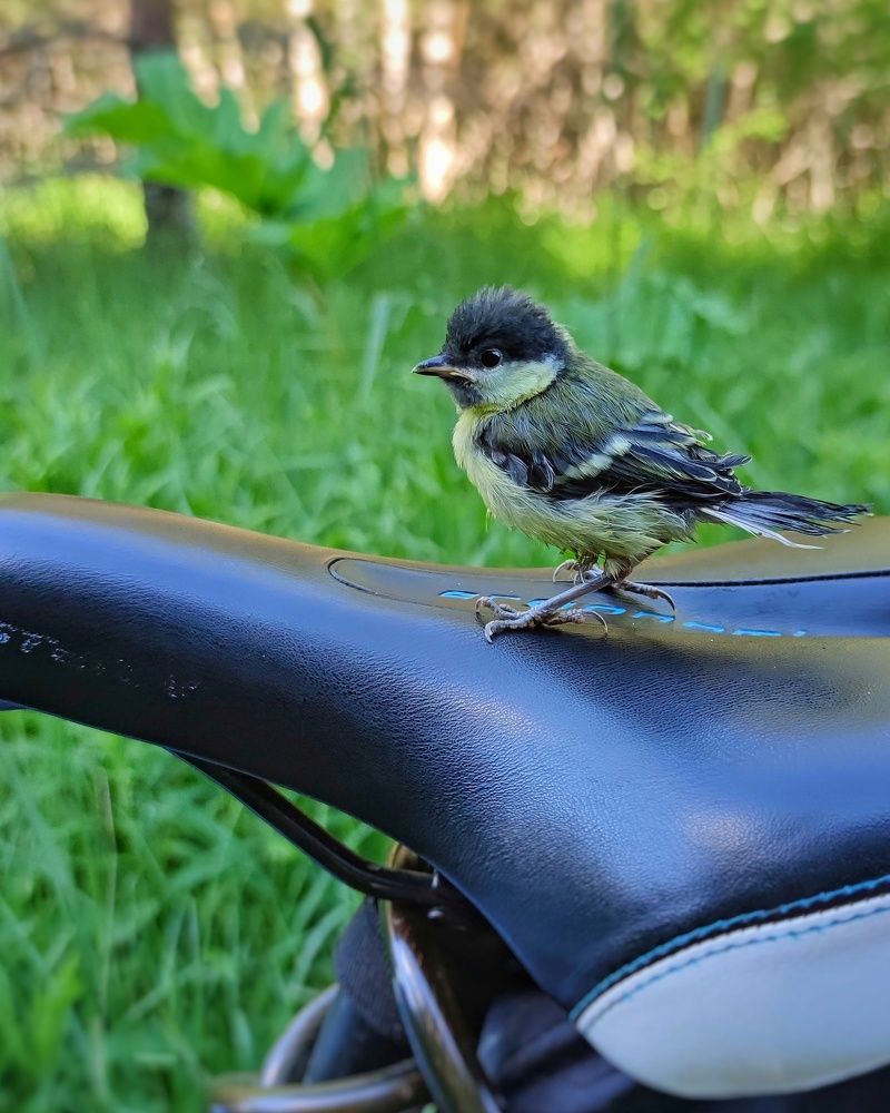 Photograph by Петр Поспелов