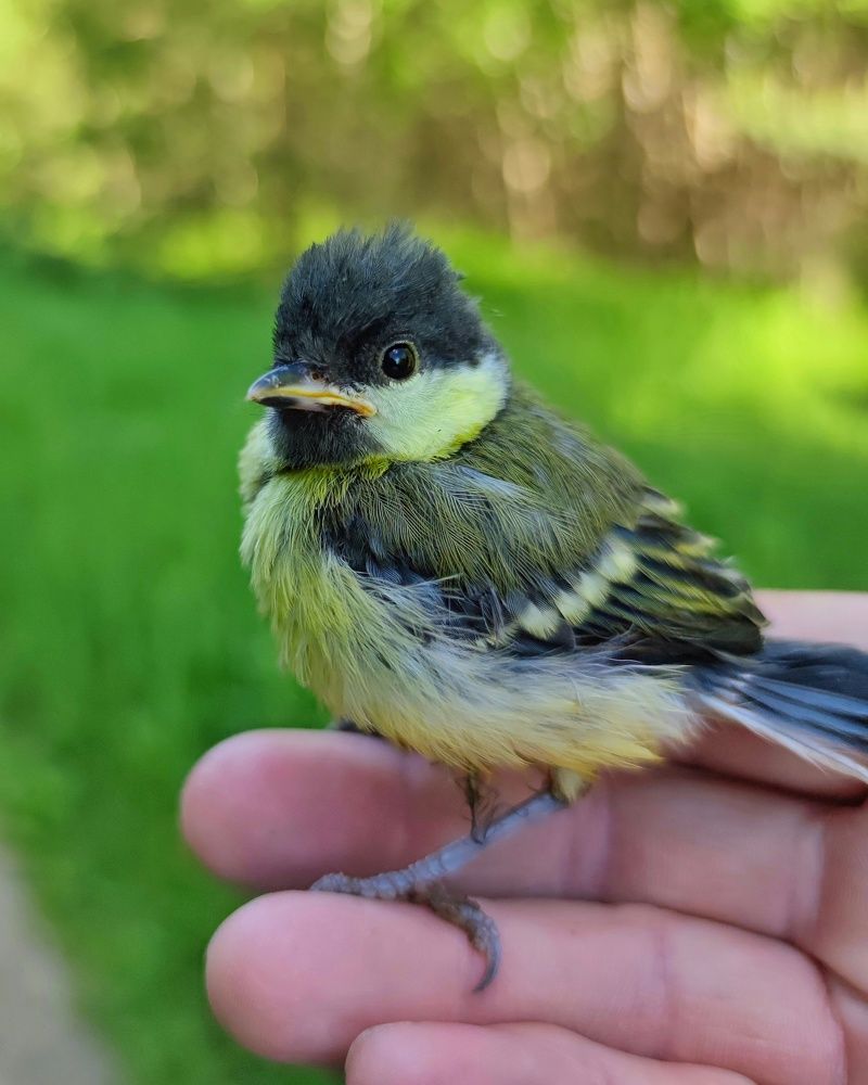 Photograph by Петр Поспелов