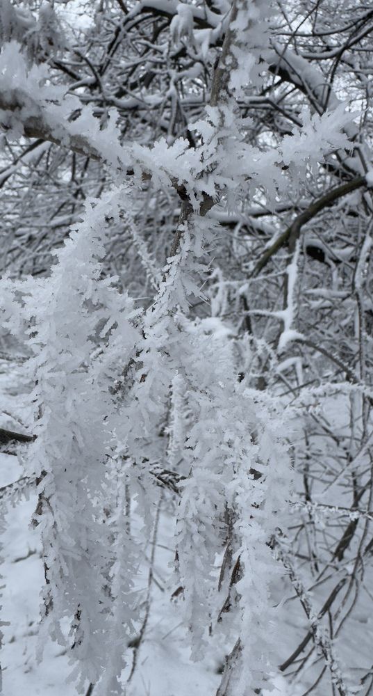 Photograph by Бойкова Наталия