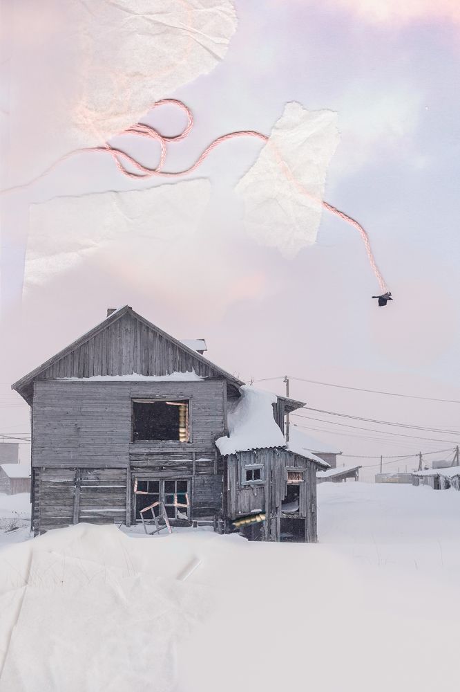 Фотография автора Елена Курьянова