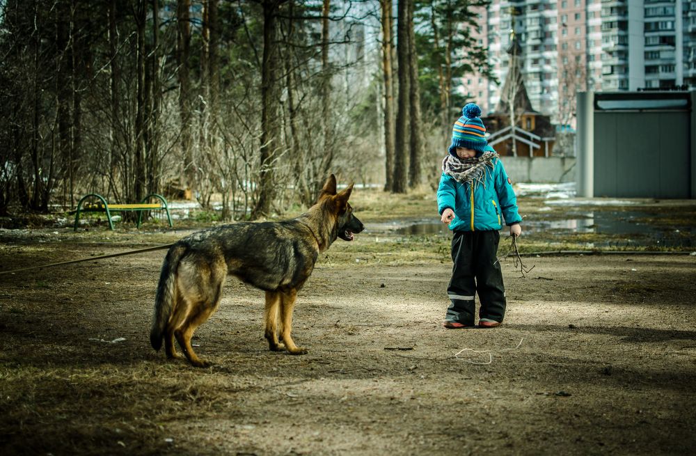 Photograph by Бочериков Александр