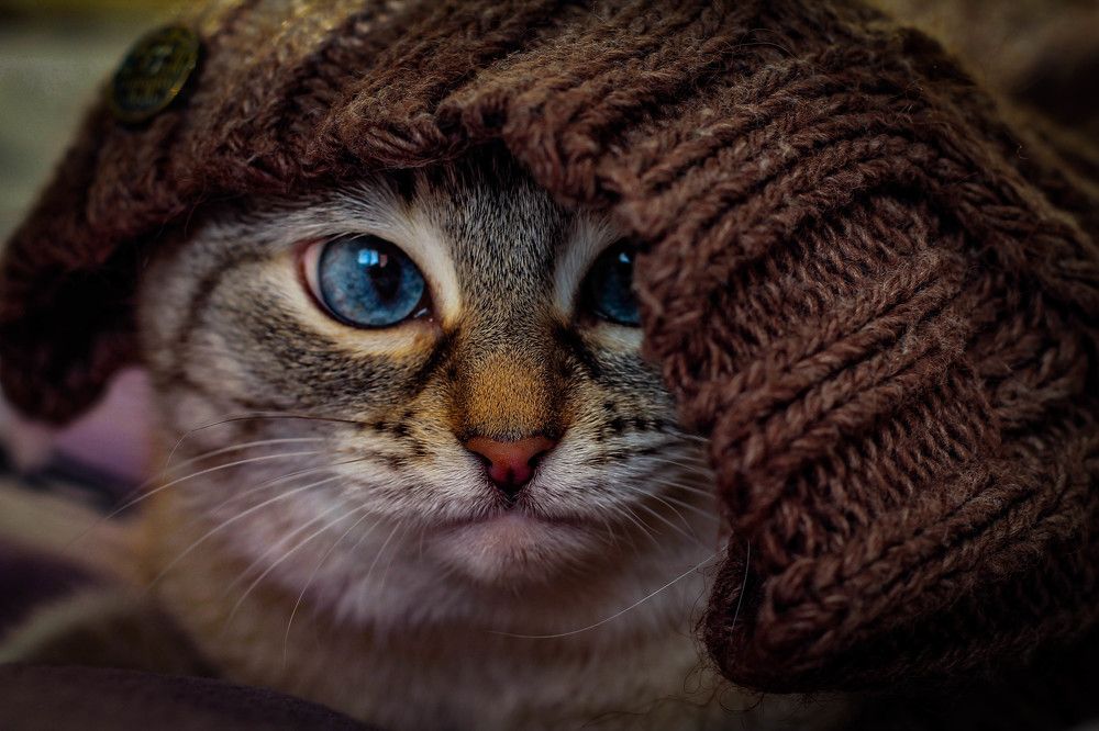 Photograph by Любовь Иванова