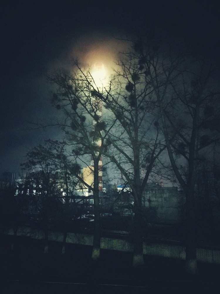 Photograph by Сандро Пилюкшин