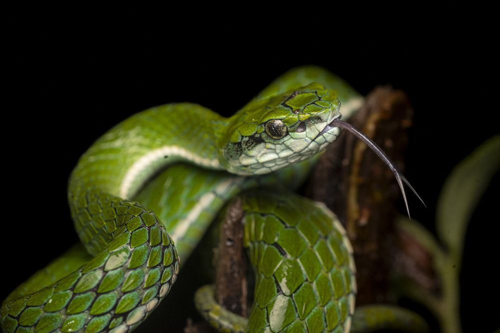 Photograph by Harsha Devalla