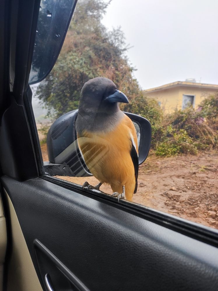 Photograph by Kapil Singh