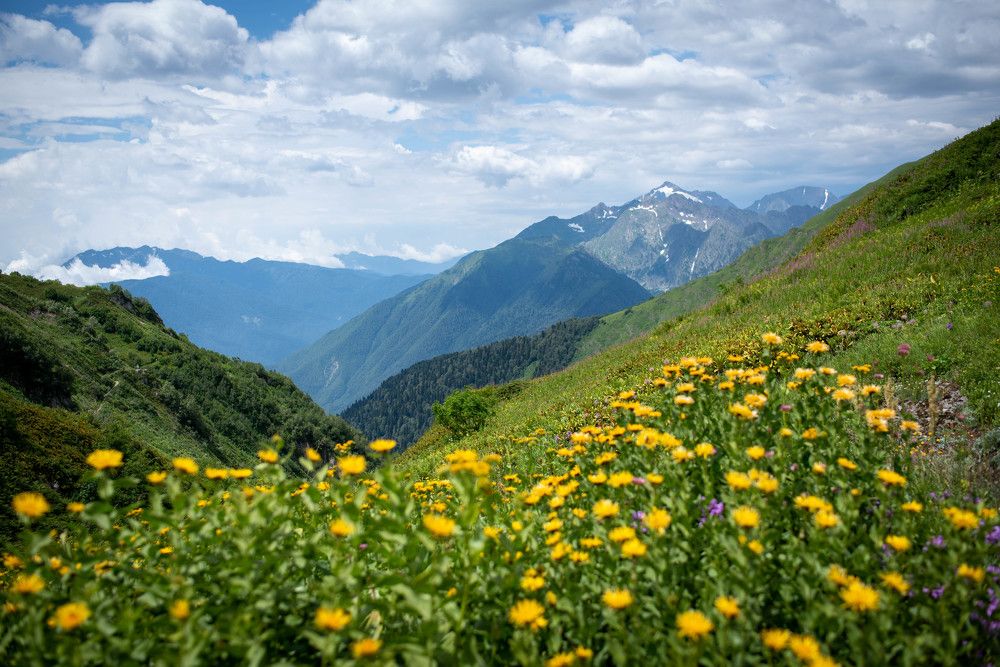 Photograph by Алёна Лихачёва