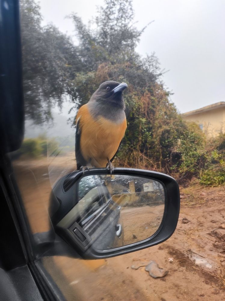 Photograph by Kapil Singh