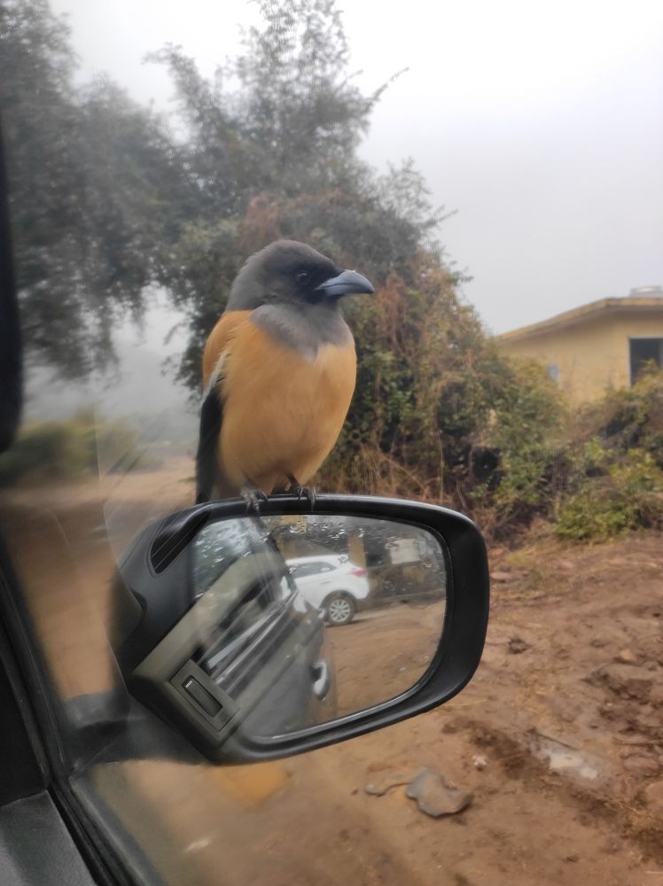 Photograph by Kapil Singh