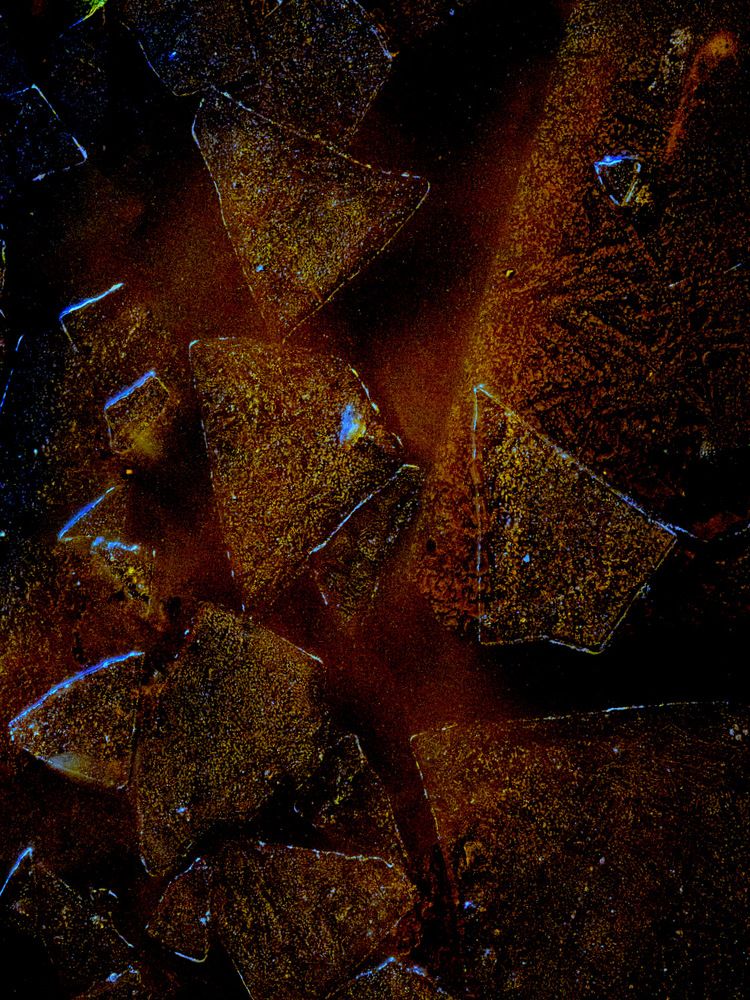 Photograph by Anton  ( Toni ) Vucajnk