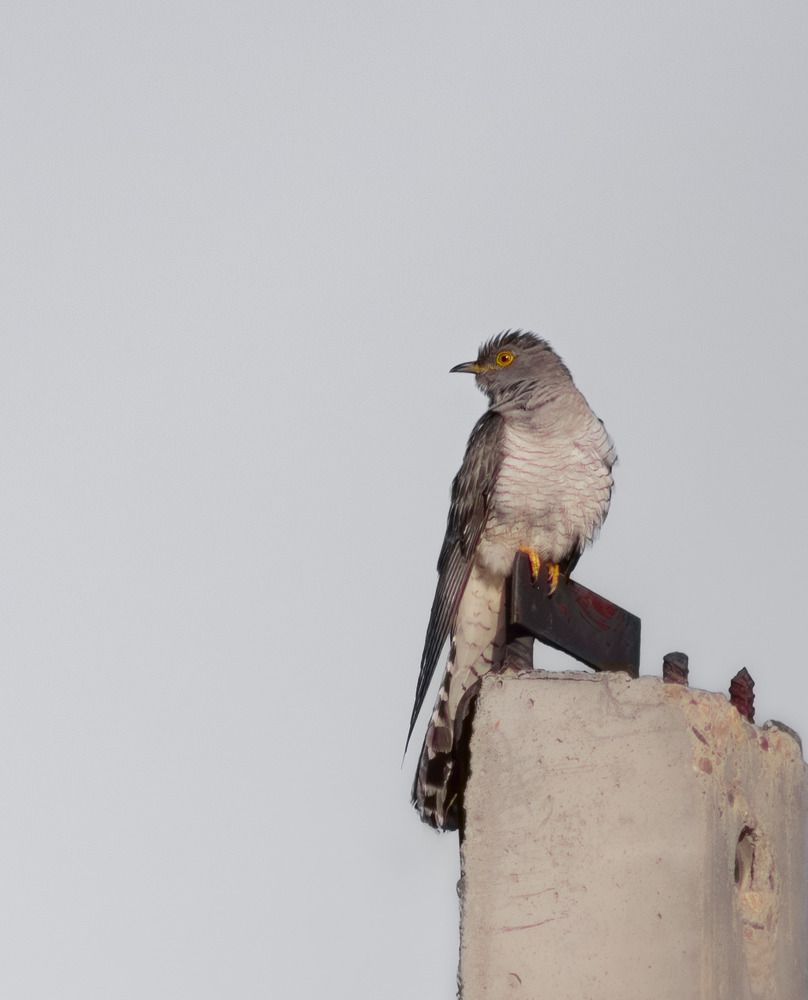 Photograph by Веретельников Дмитрий