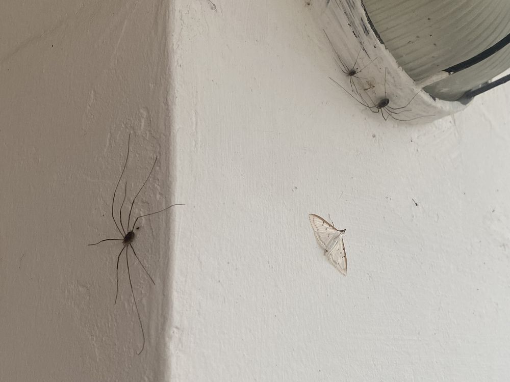 Photograph by Инга