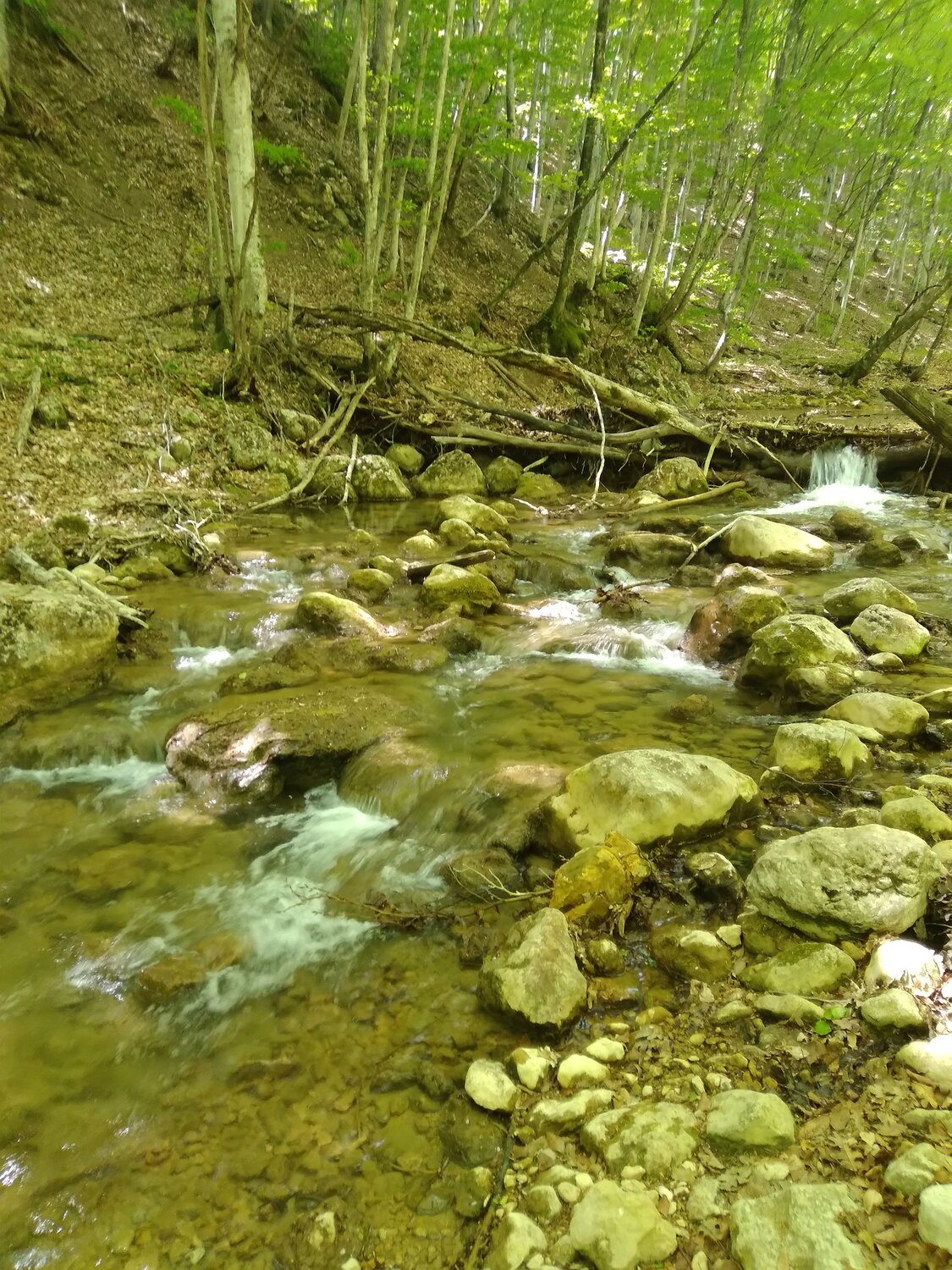 Photo #11766503