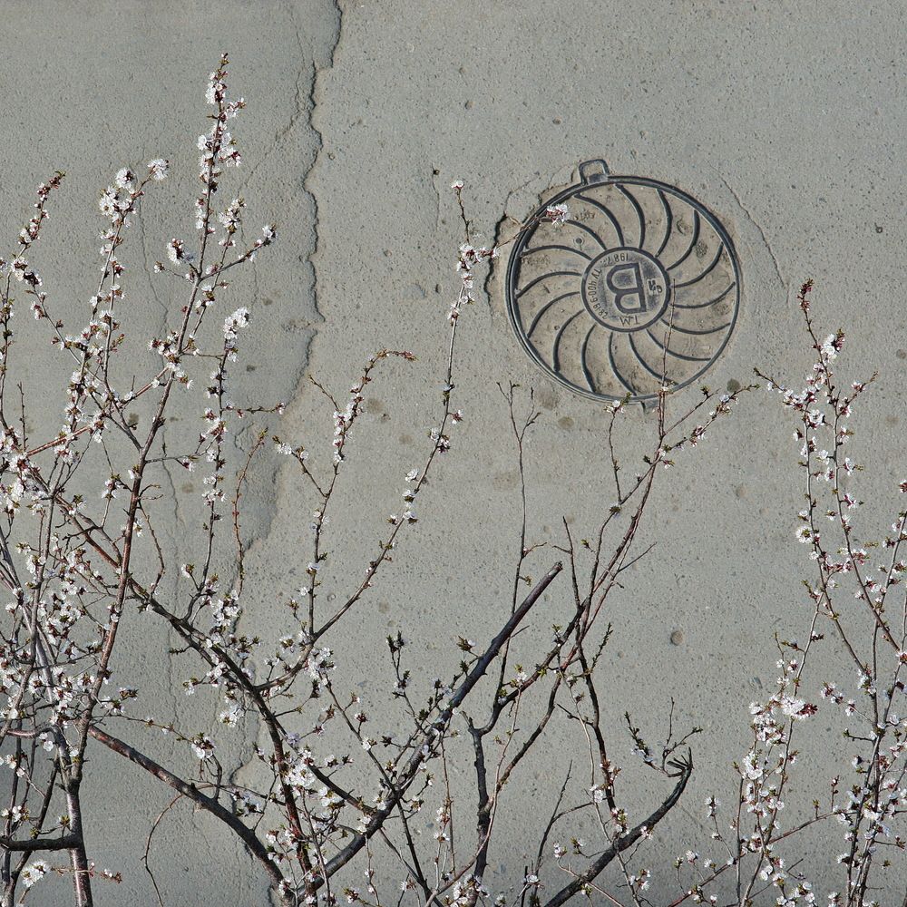 Фотография автора Александр Челмодеев